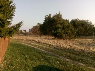 Willa Nowe Domki Pod Lipami Junoszyno Zewnętrze zdjęcie